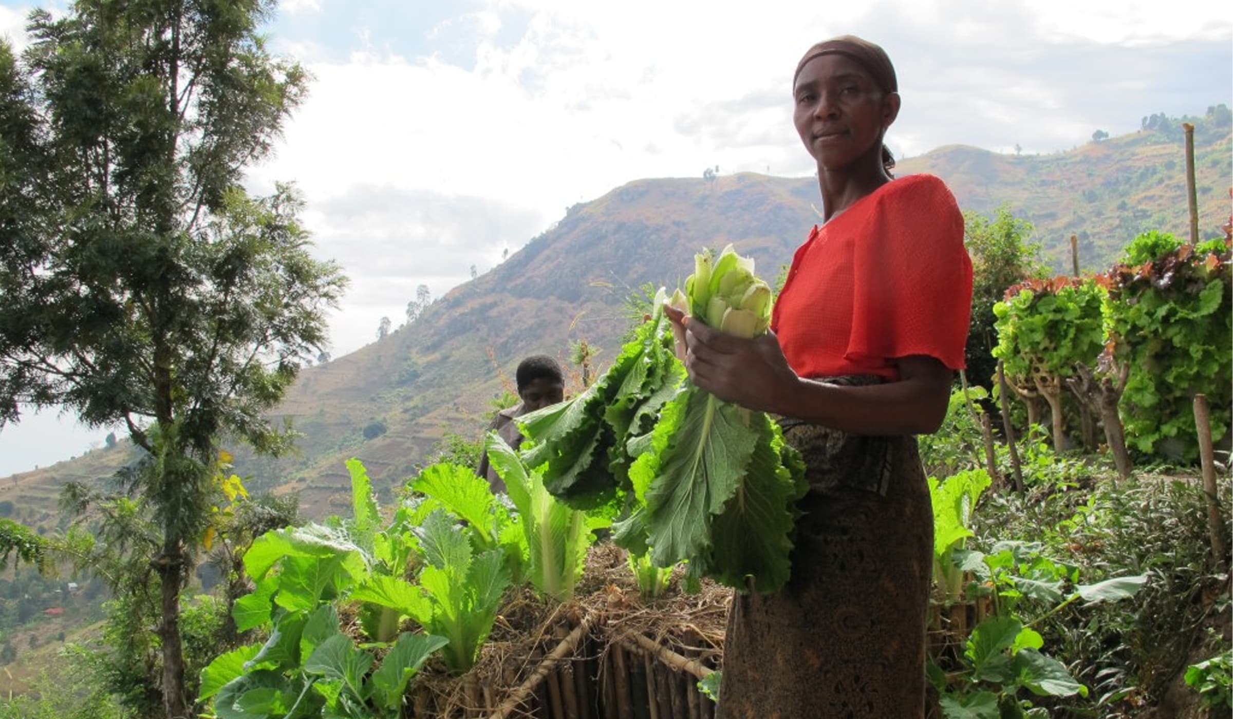 The Certified Way to Organic Agriculture